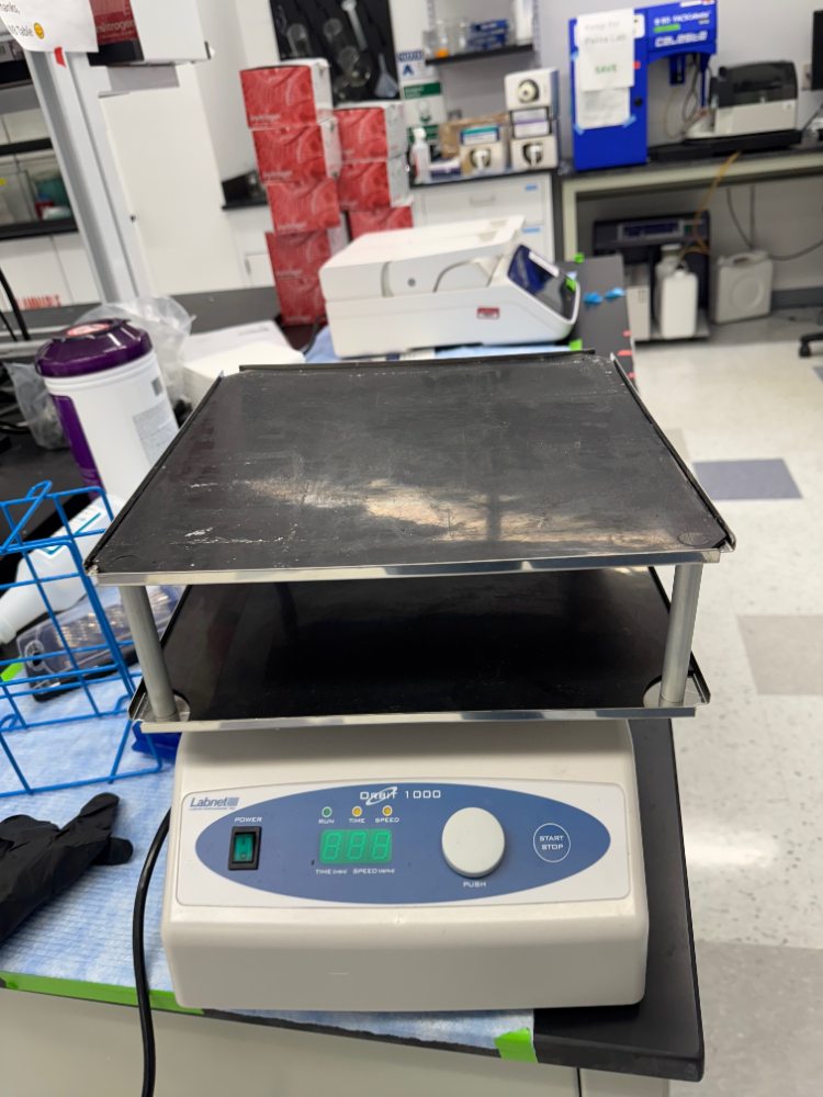 Image of Labnet Orbit 1000 Platform Shaker